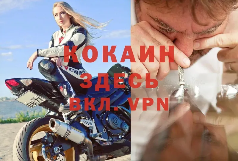 COCAIN Боливия  Ак-Довурак 
