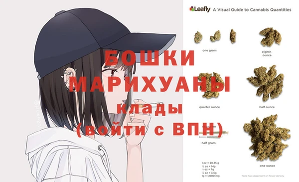 ALPHA PVP Остров