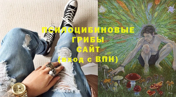 ECSTASY Янаул