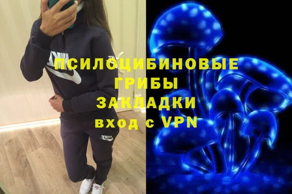 герыч Кедровый