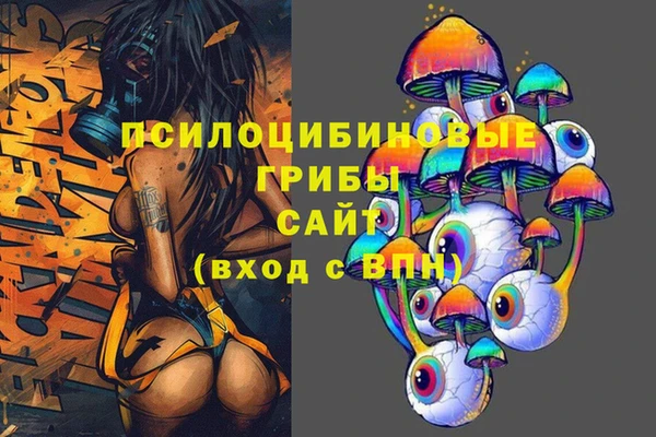 СК Всеволожск